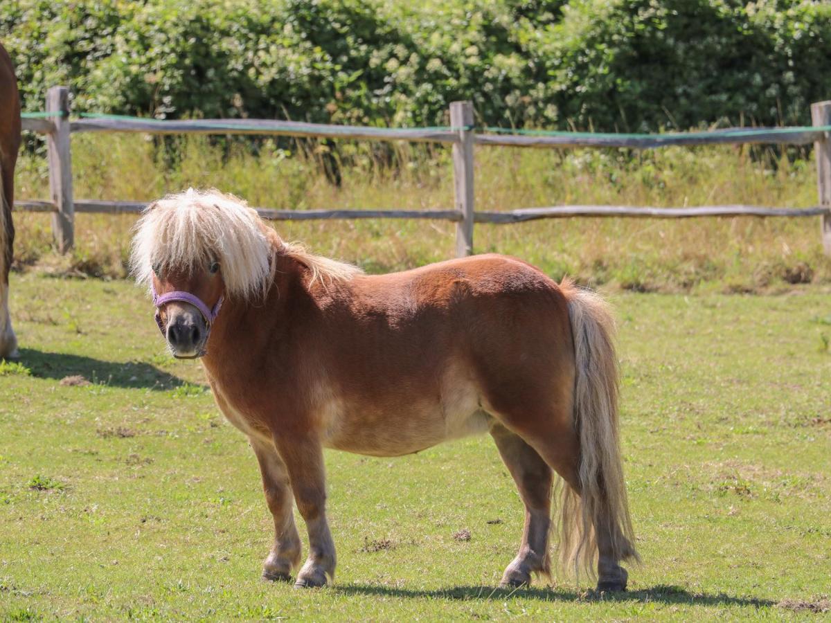 1 Paythorne Farm Cottages Henfield Esterno foto